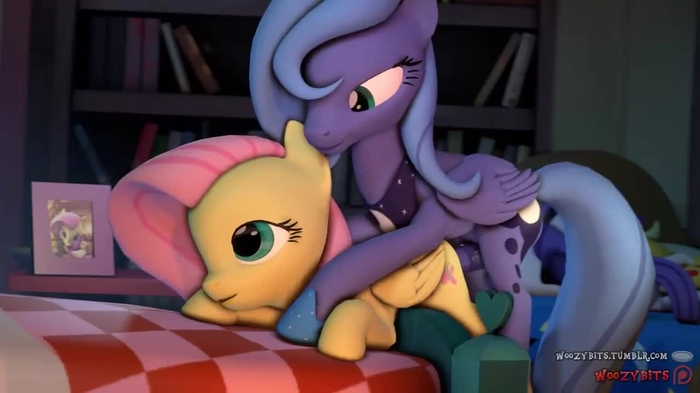 mlp 4