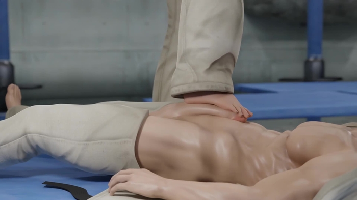 dead or alive 248
