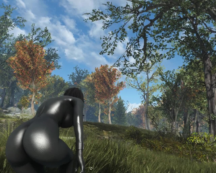 fallout 31