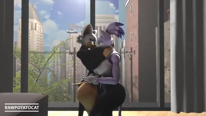 Blaze The Cat And Rouge [Rawpotatocat]