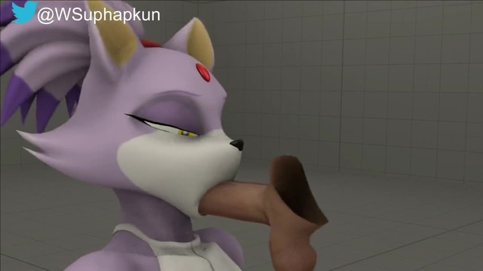 sonic (series) 116