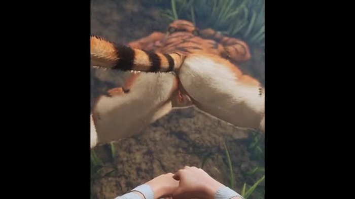 Wild Life - Voracious Tiger