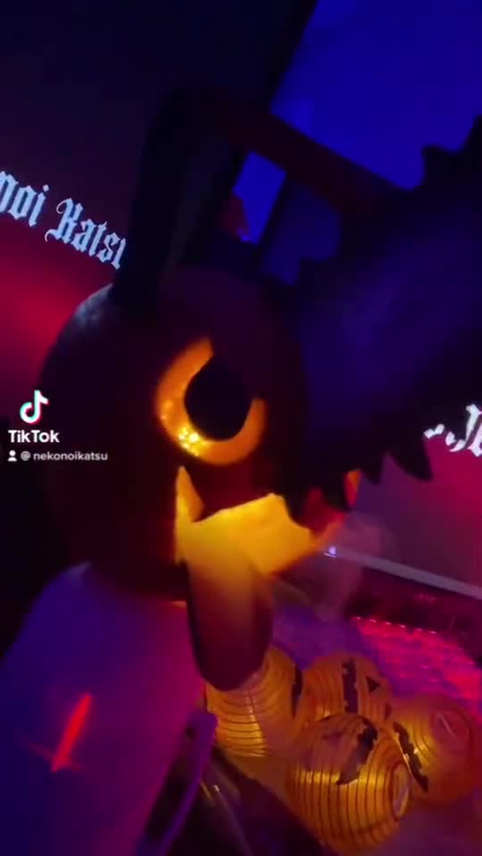 KENOI : Nekonoi Katsu 🐾🐾 NekonoiKatsu