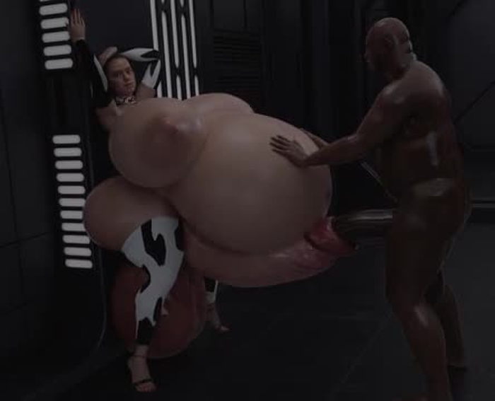 Rey bbc Docking