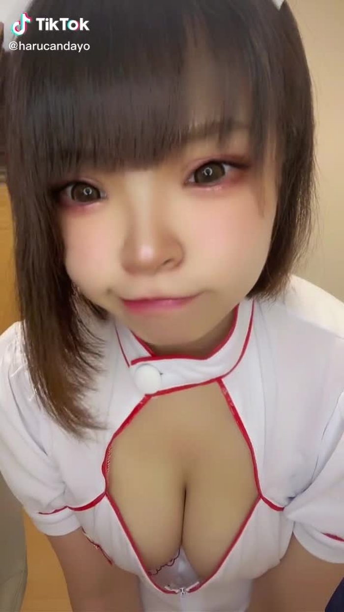 TikTokで🐶は〜るん🐕さんをチェック！ 5