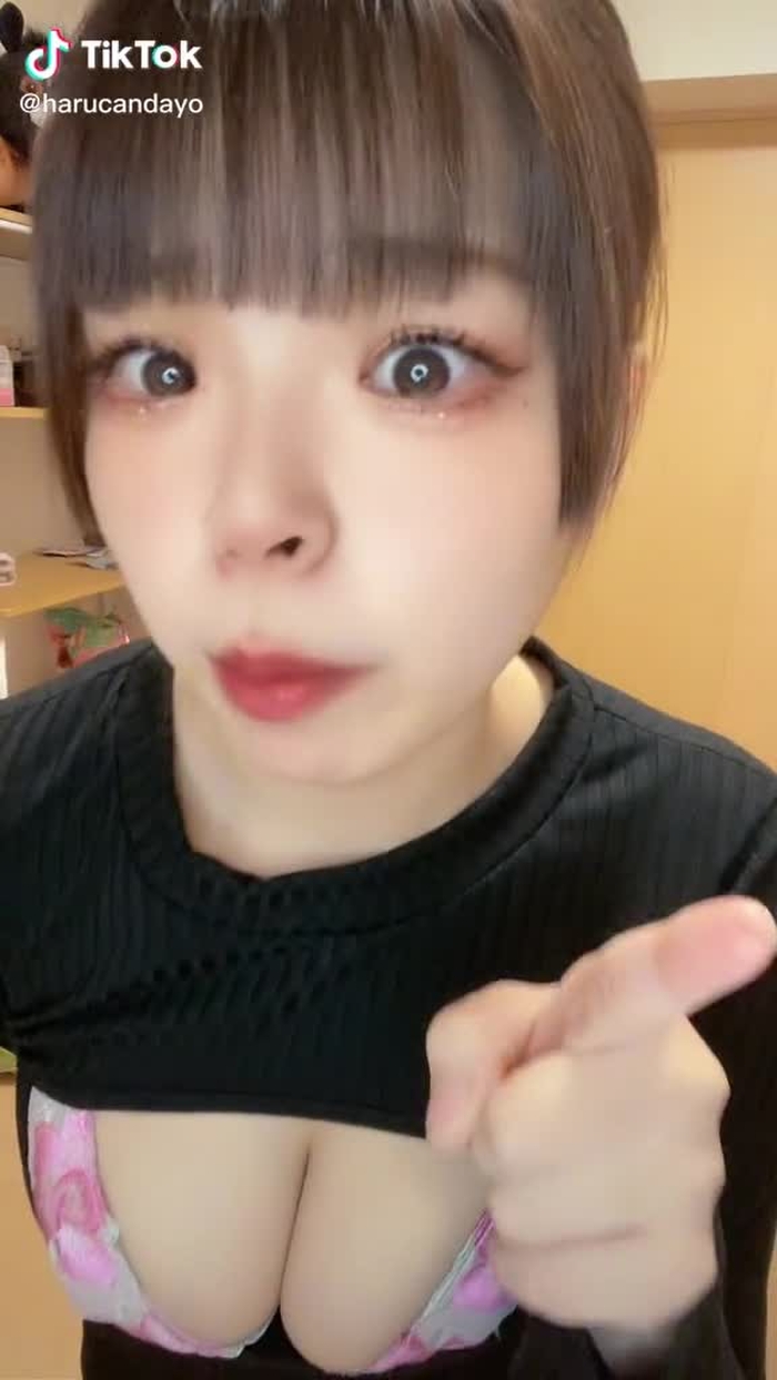 TikTokで🐶は〜るん🐕さんをチェック！ 8