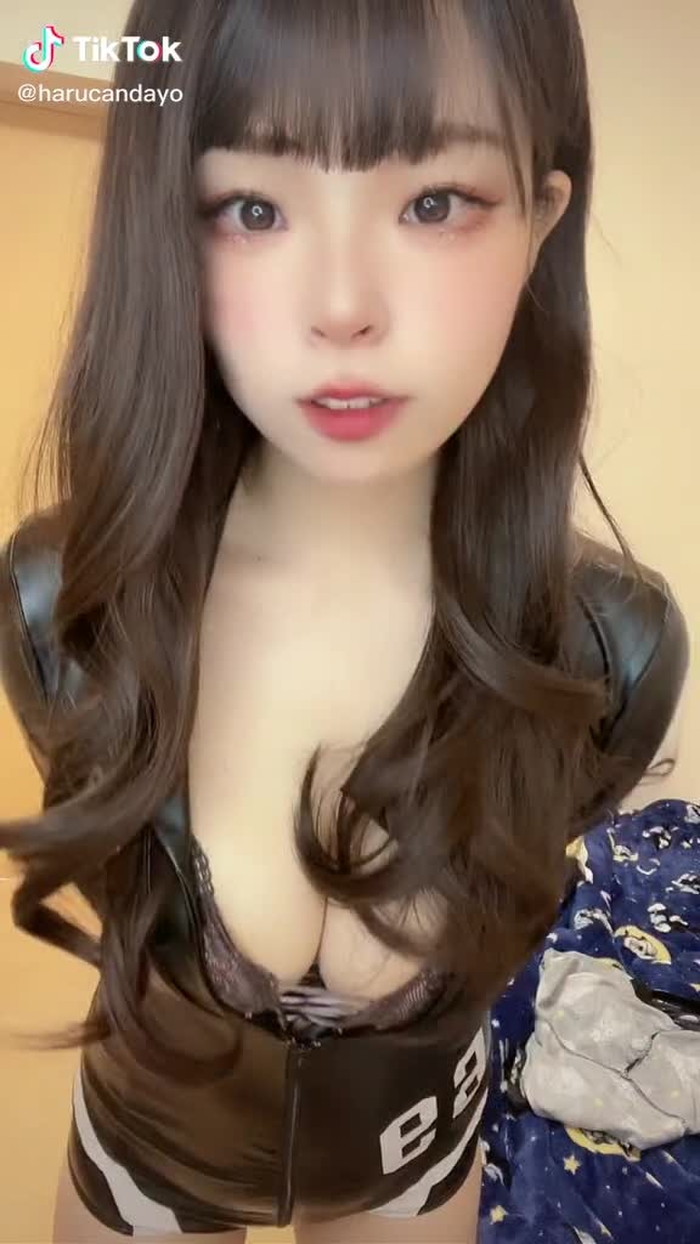 TikTokで🐶は〜るん🐕さんをチェック！ 15