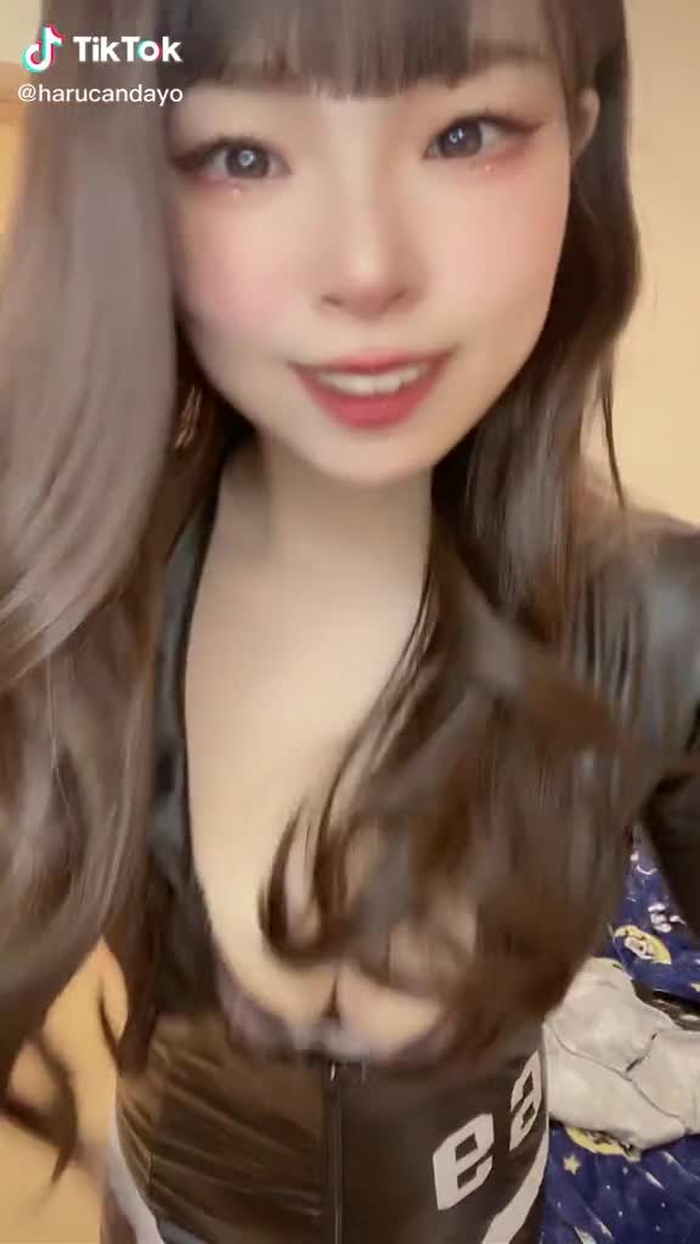 TikTokで🐶は〜るん🐕さんをチェック！ 14
