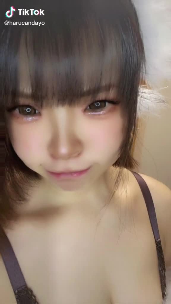 TikTokで🐶は〜るん🐕さんをチェック！ 2