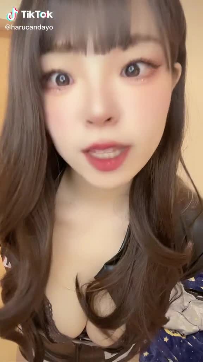TikTokで🐶は〜るん🐕さんをチェック！ 12