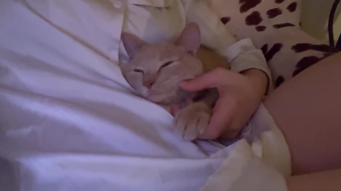 清水あいり airishimizu 6
