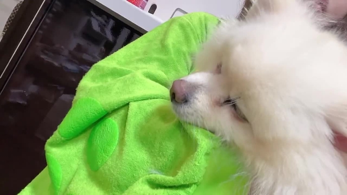 なな茶🍵 nanaki_chiba 5