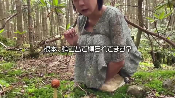 羽生アリサ/ARISA HANYU🦔🌽🥔 hanyu_arisa 1