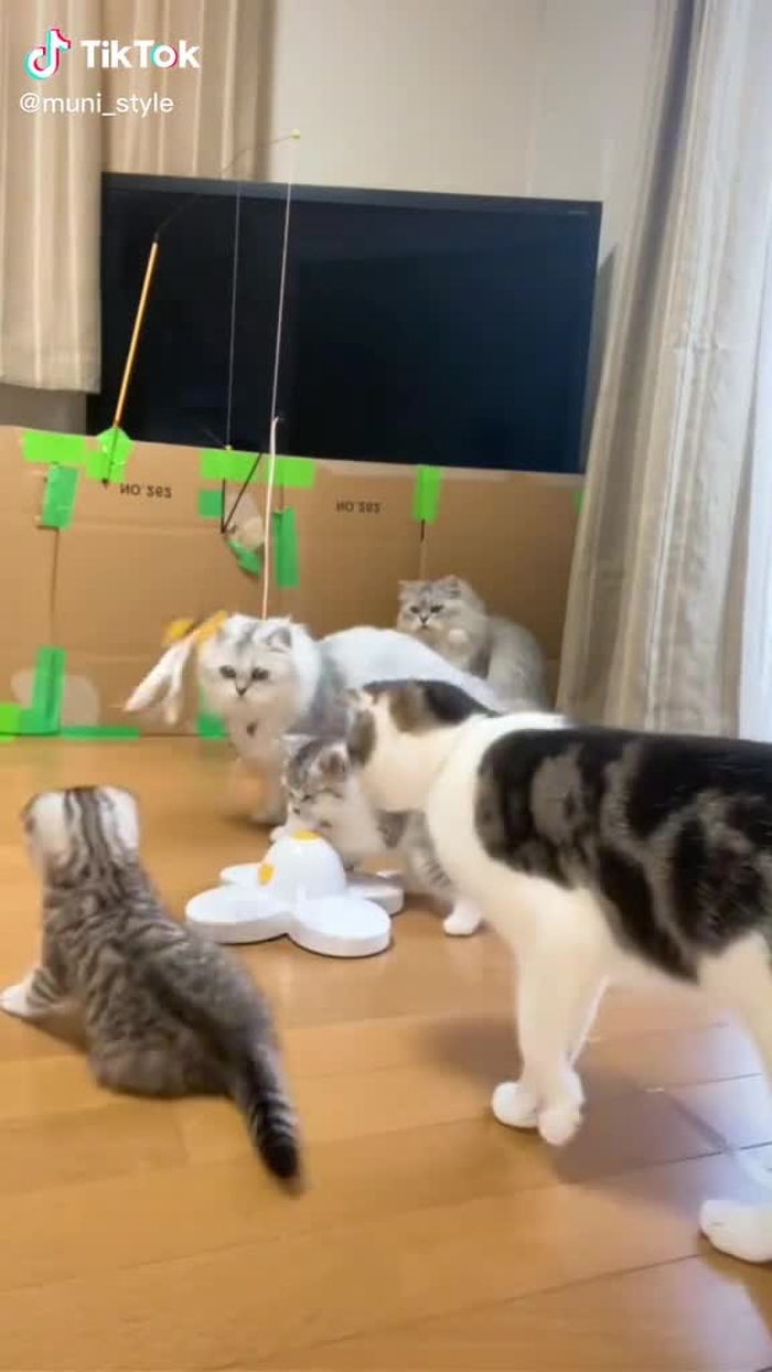 🐰 むにむに 🐰 3