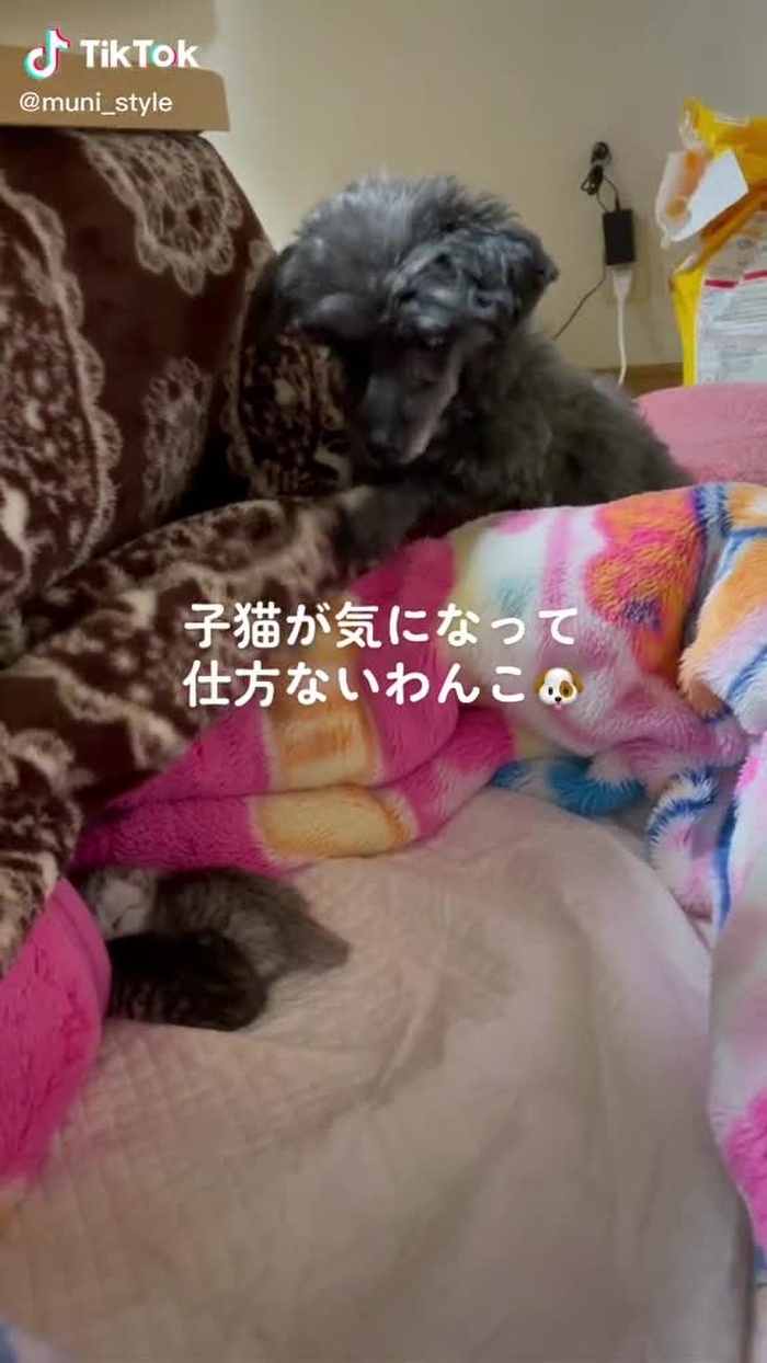 🐰 むにむに 🐰 11
