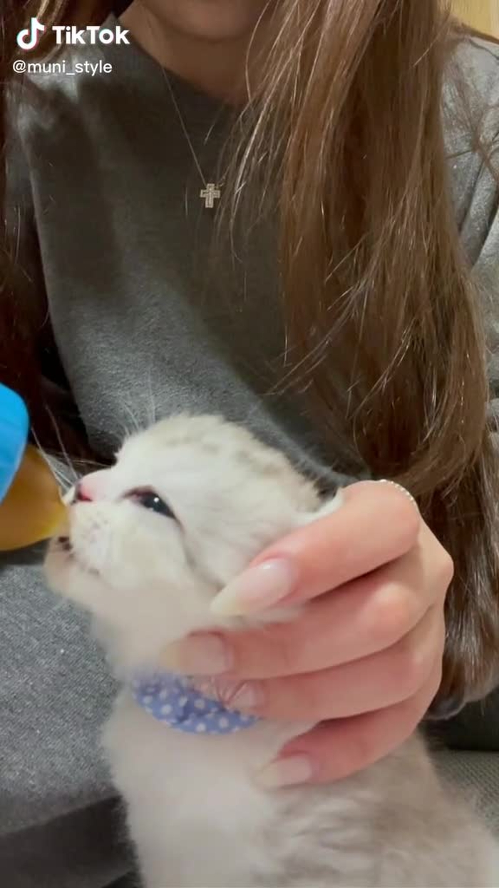 🐰 むにむに 🐰 4