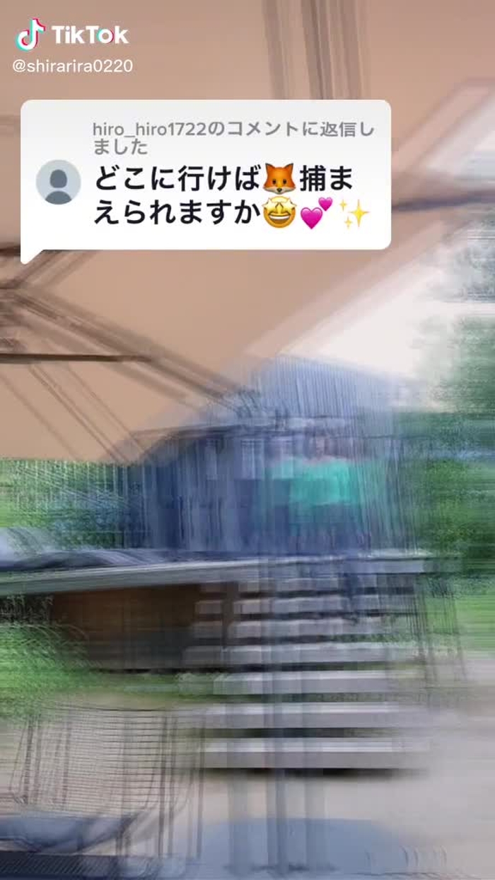 白雪ちゃん 道産子娘 57