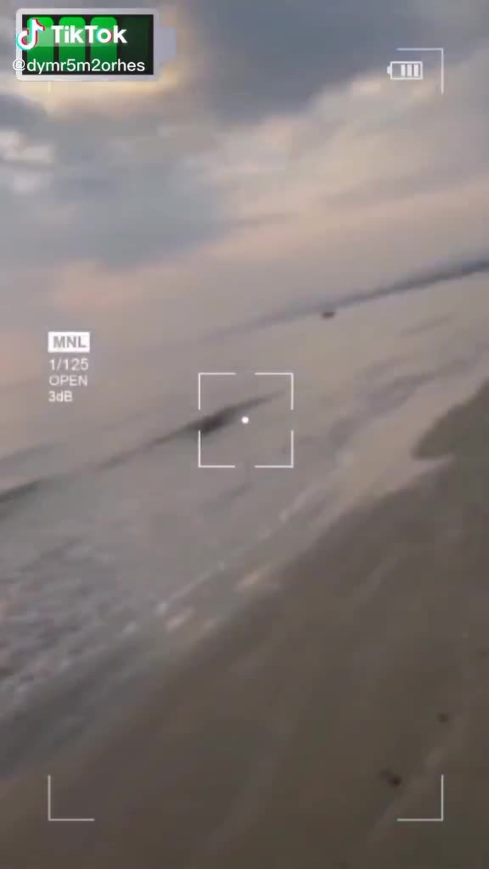 This video is unavailable. Visit TikTok to discover more trending videos. 57