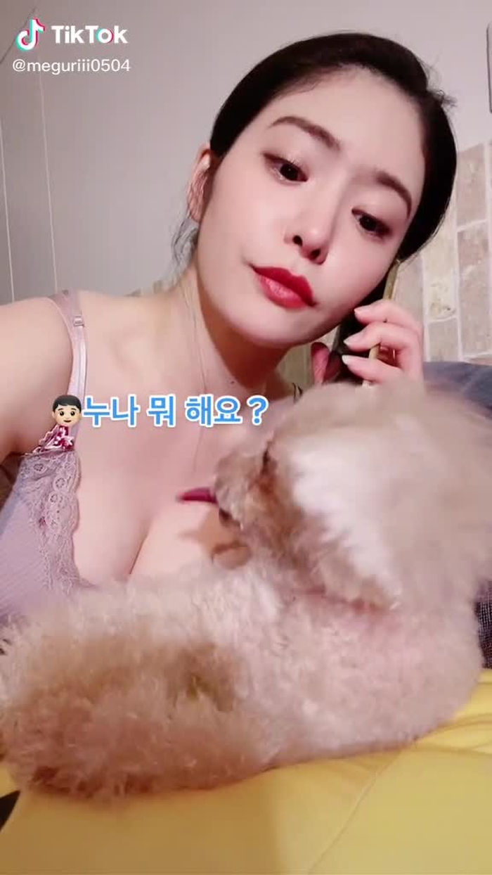 🐕❤️#トイプー #トイプードルのいる暮らし #トイプードルレッド男の子 #犬が反応する音