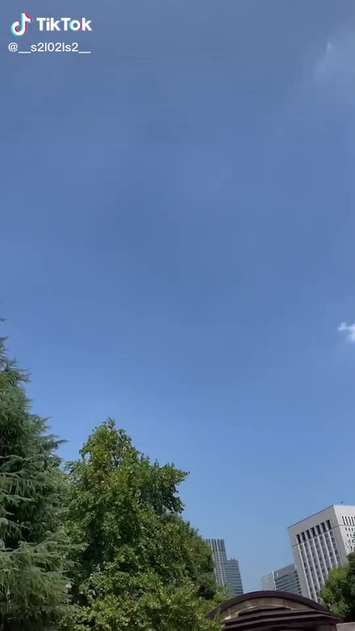 🌻さかいゆりや🌻 22