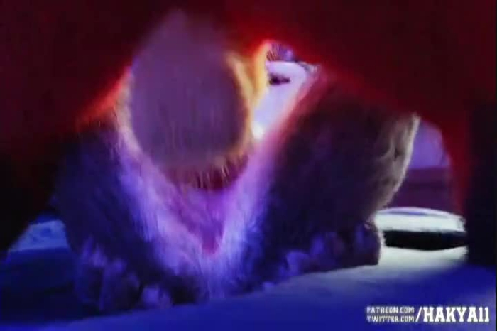 zootopia 28