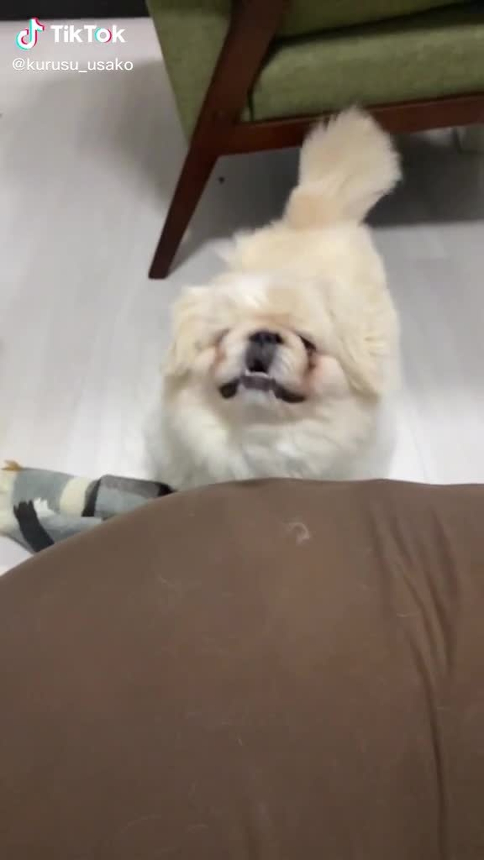 来栖うさこ 14