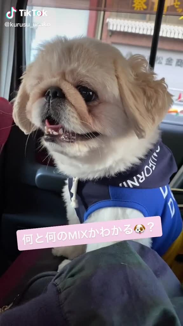 来栖うさこ 40