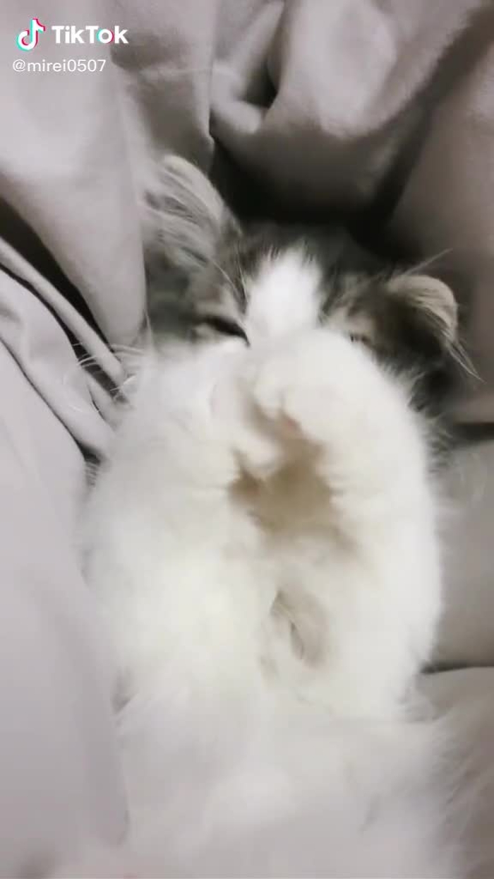 みれみれ🥀 9