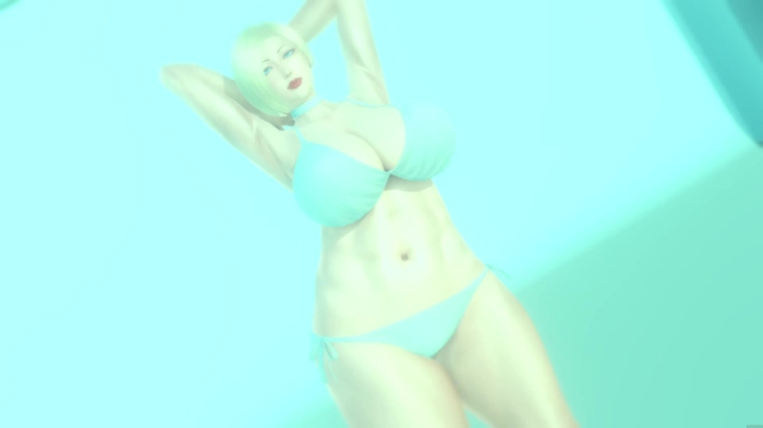 honey select 133