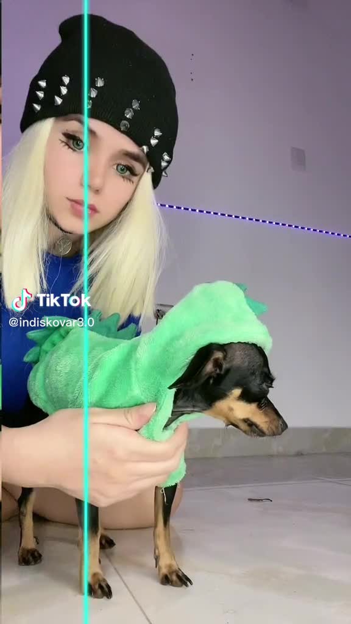 Indi Skovar 5