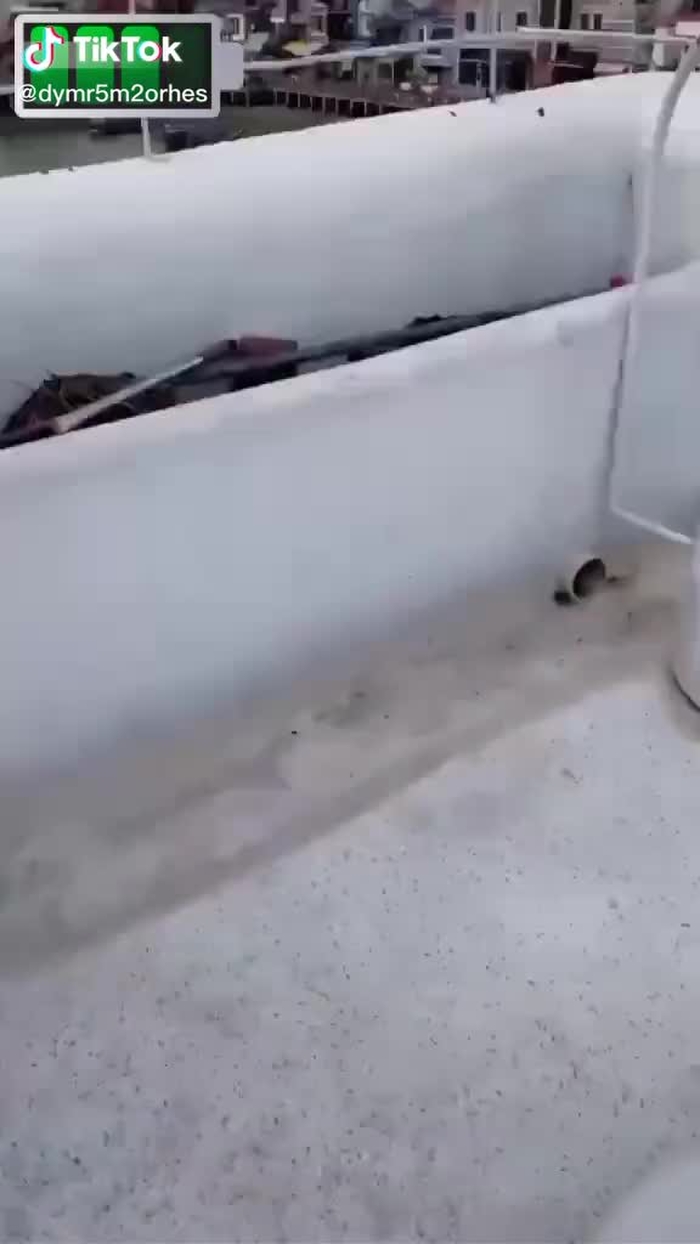 @❤️( 杨华姜小团团 ) 🇨🇳🇰🇭