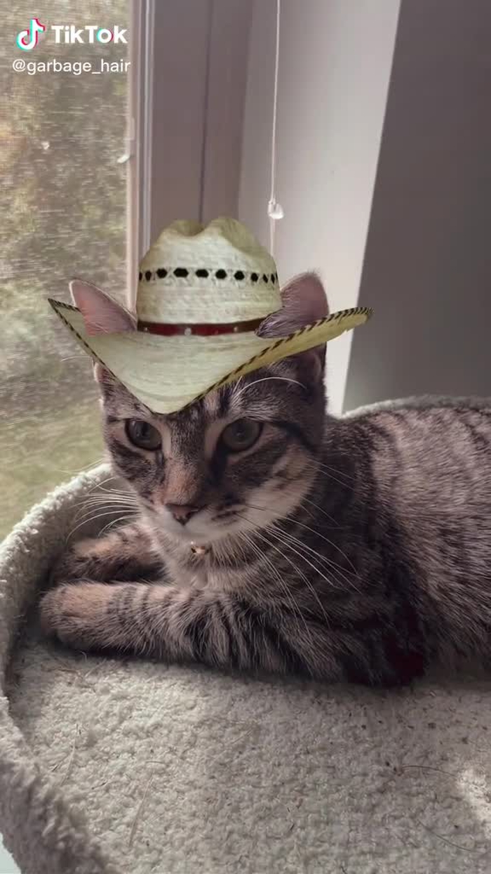 This video is unavailable. Visit TikTok to discover more trending videos. 90