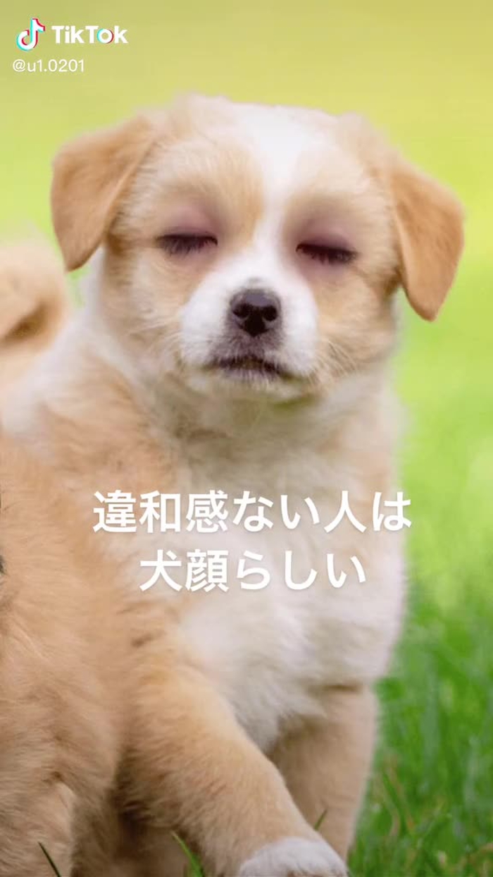 ゆいさん☺︎元男の子
