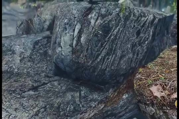 Goblin ambush