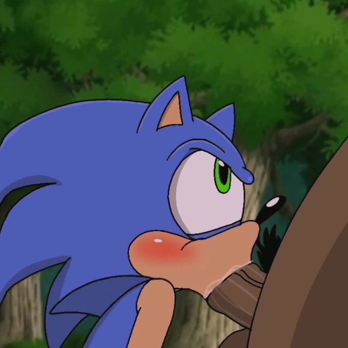 sonic (series) 225
