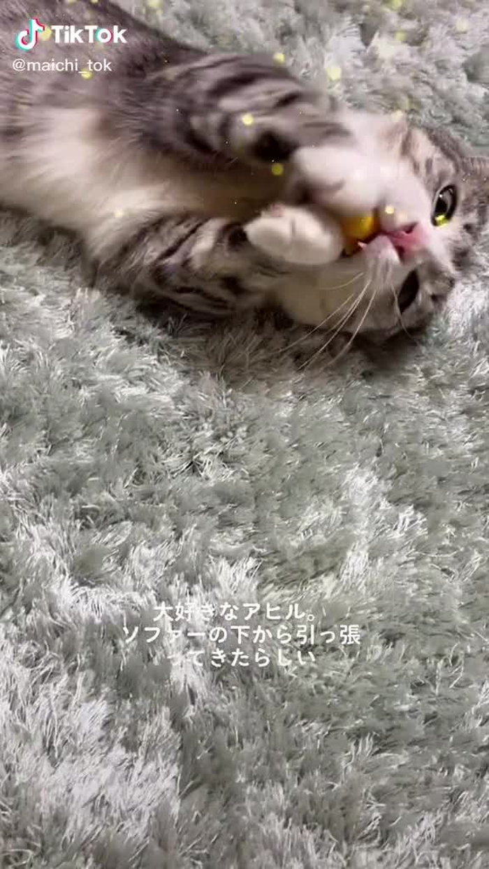まいち 8