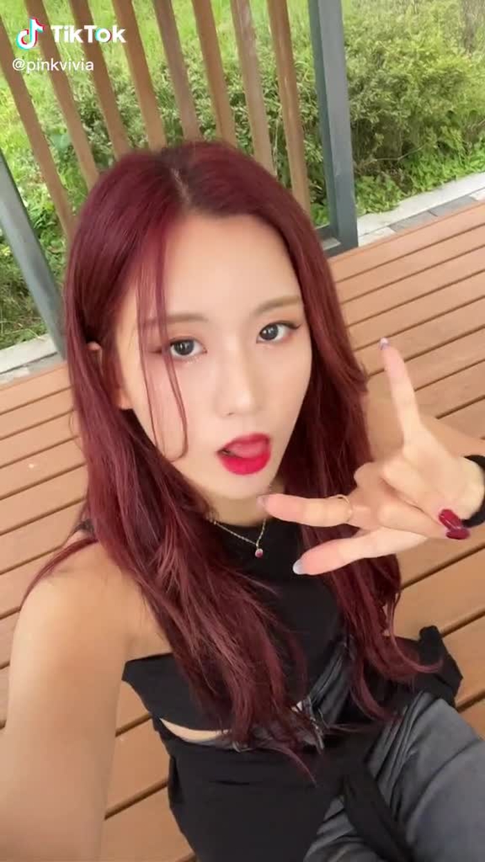 핑크비비아 pinkvivia 16