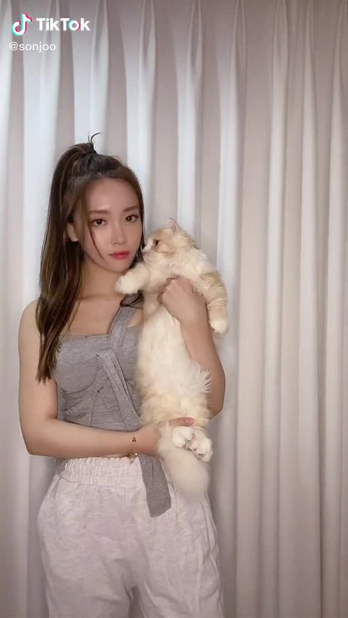 주댕댕