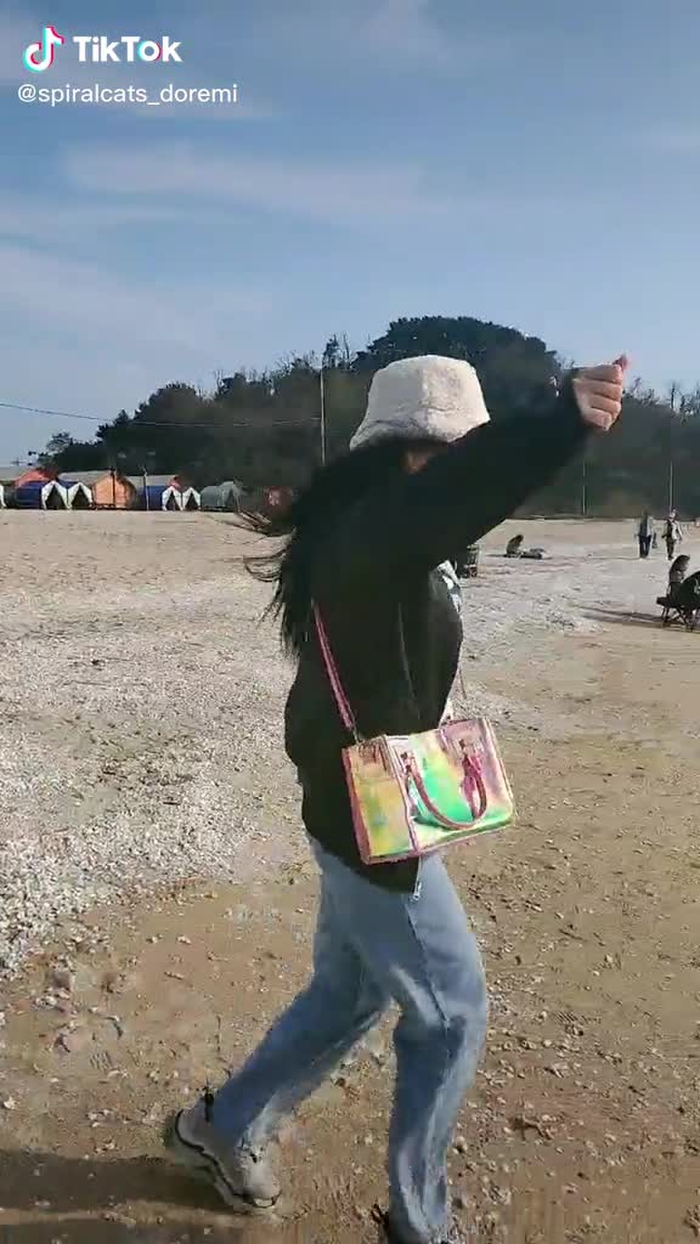 도레미