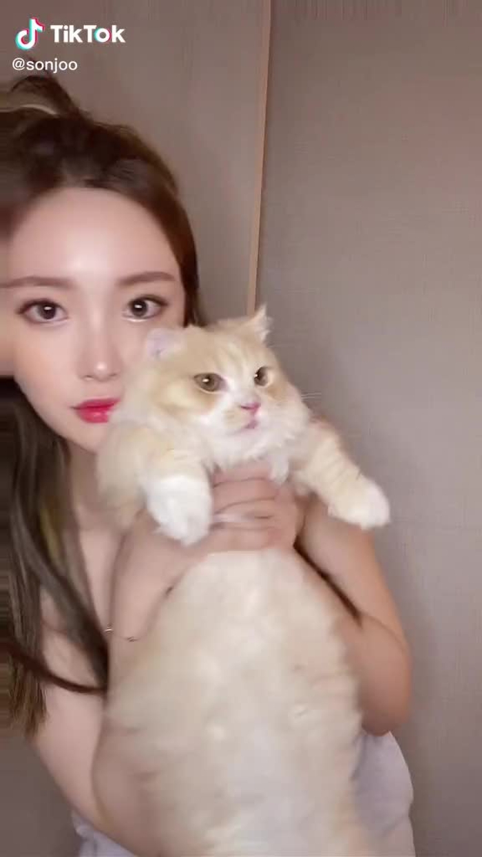주댕댕