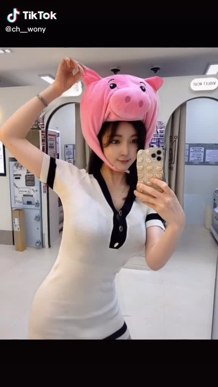 채롱이
