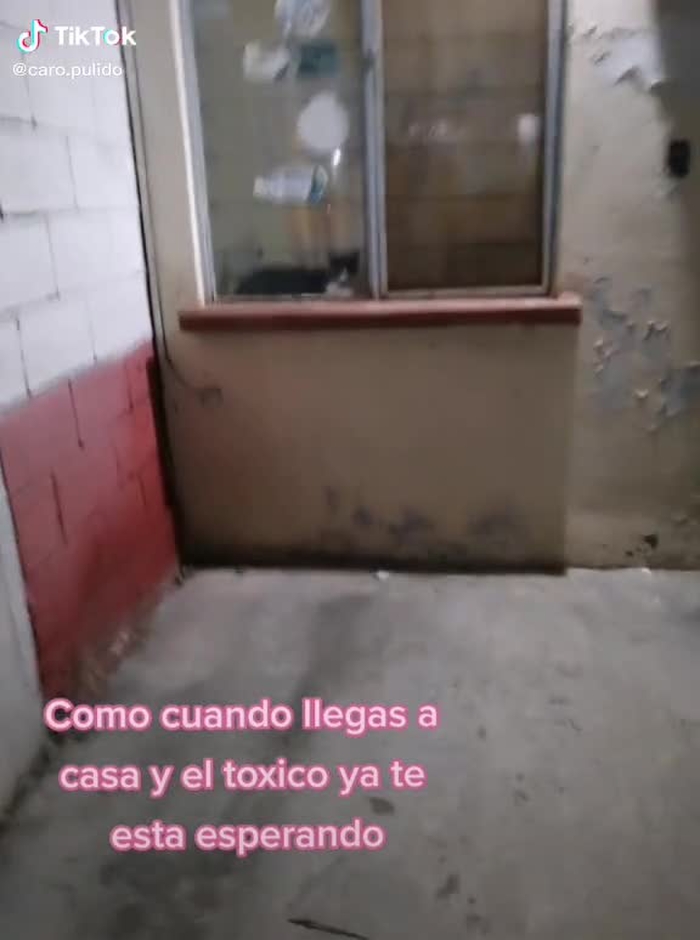Caro Pulido 2