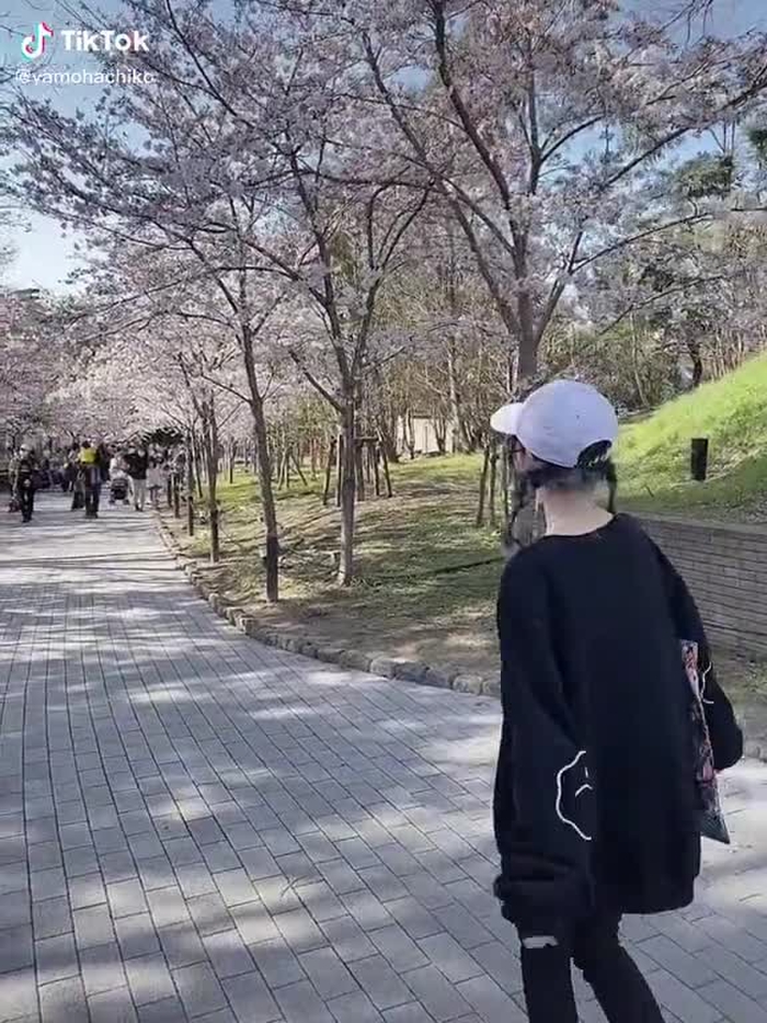 やもはちこ🐝☁️ 9