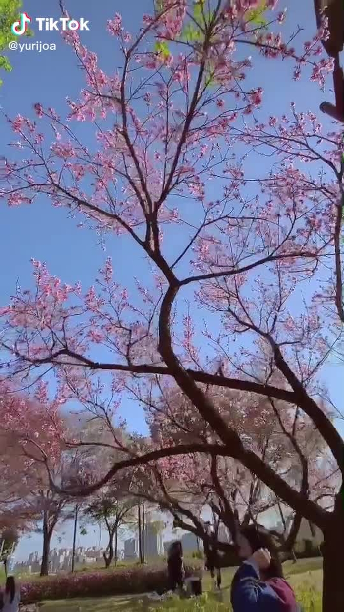 Yurijoa 유리조아 18