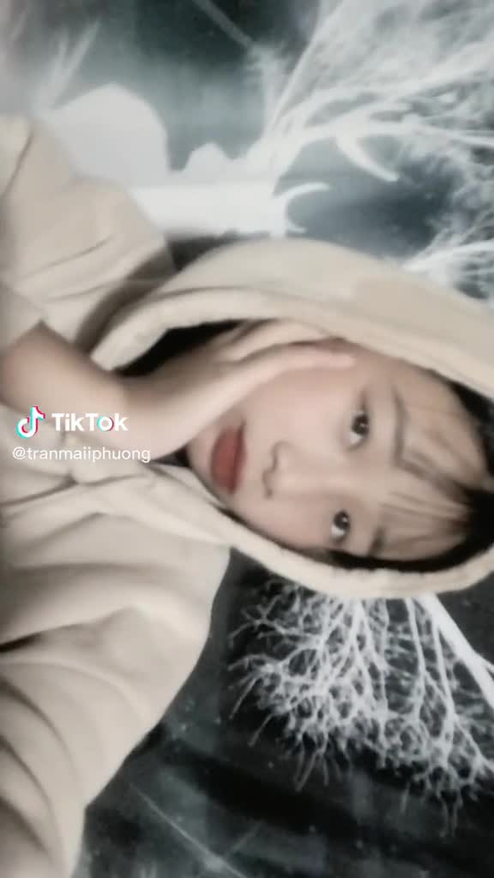 tranmaiiphuong 32