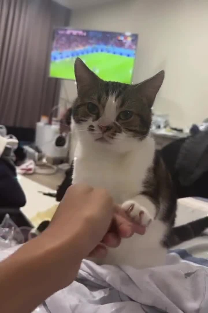 kitty🐱💘 kitty2002102 23