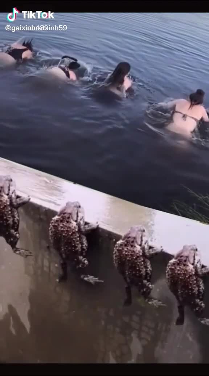ﻋلي