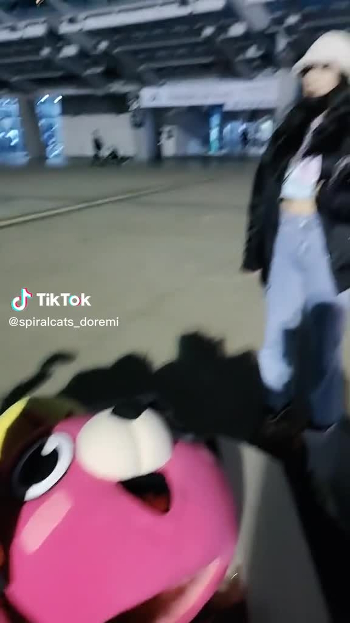 도레미