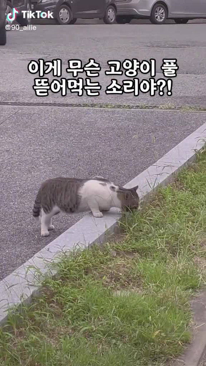 김연정