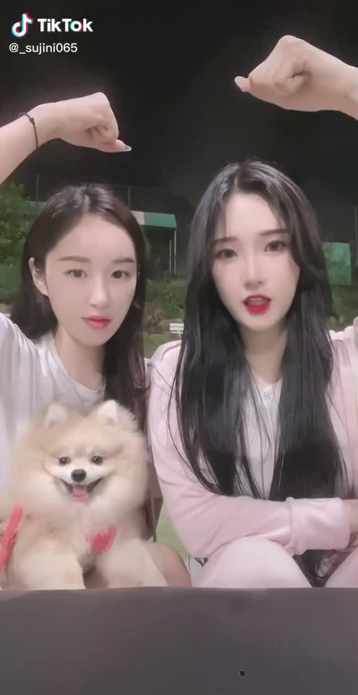 뚜진몬✌️